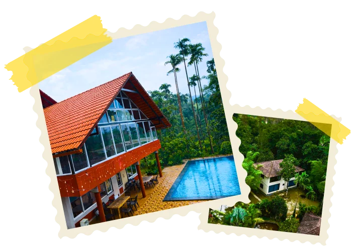 availability pic group