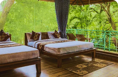 Experience-led stays