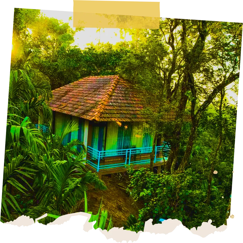 Golden Leaf Resort – Comfort Meets Nature in Sakleshpur