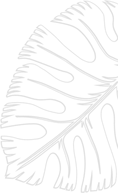 leaf_left