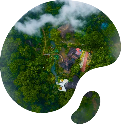 Serene Nature Escapes