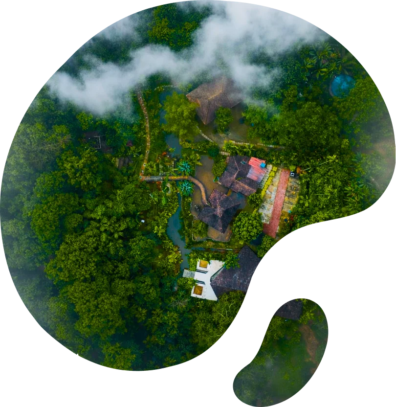 Serene Nature Escapes