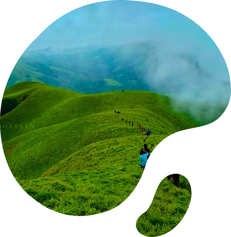 Serene Nature Escapes