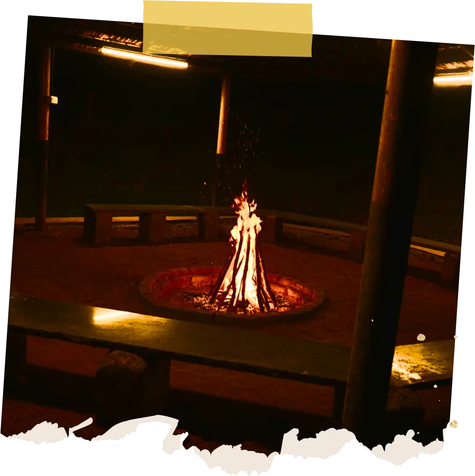 Wild Fog Resort – A Forest Escape Taking Shape in Sakleshpur